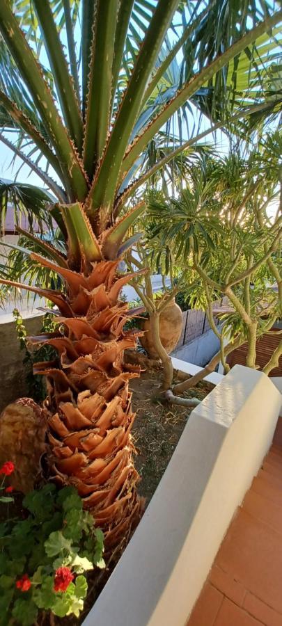 וולקאנו La Casa Al Mare Vulcano מראה חיצוני תמונה